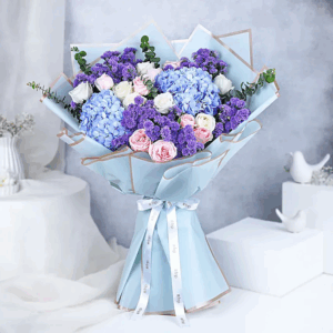 Hydrangea Hues Serenade