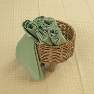 Cotton Kitchen Napkins