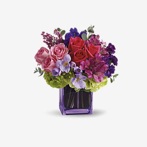 product1_c5a05944-0b1e-4f3e-90b4-da93f956e6c5